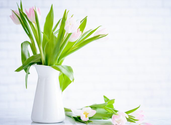 Wallpaper flowers, tulips, vase, 5k, Nature 2927719454